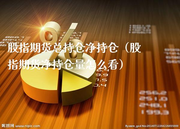 股指期货总持仓净持仓（股指期货净持仓量怎么看）_https://www.xmqjcw.com_期货直播室_第1张