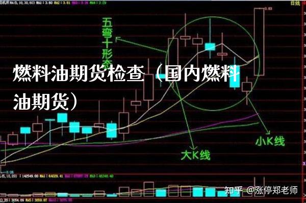 燃料油期货检查（国内燃料油期货）_https://www.xmqjcw.com_期货直播室_第1张
