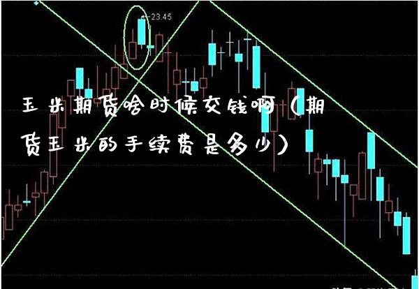 玉米期货啥时候交钱啊（期货玉米的手续费是多少）_https://www.xmqjcw.com_期货直播室_第1张