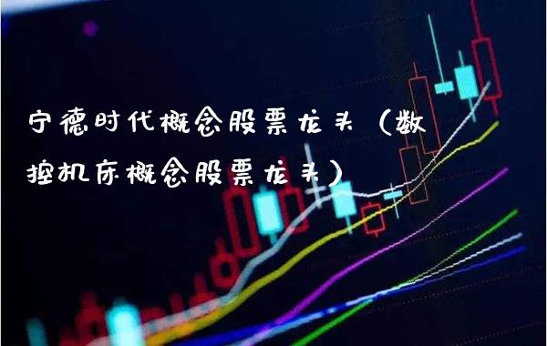 宁德时代概念股票龙头（数控机床概念股票龙头）_https://www.xmqjcw.com_股票投资_第1张