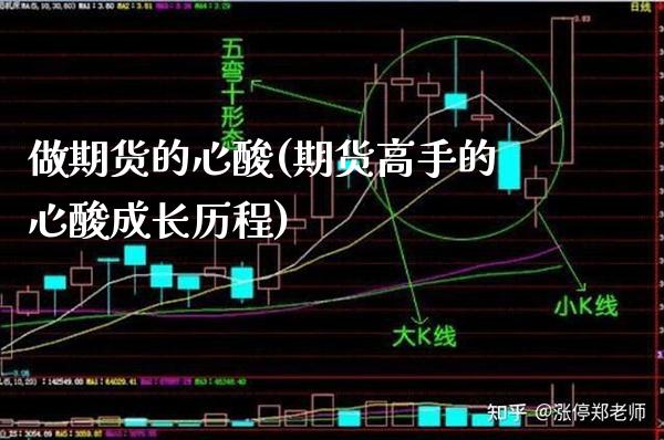 做期货的心酸(期货高手的心酸成长历程)_https://www.xmqjcw.com_期货投资_第1张