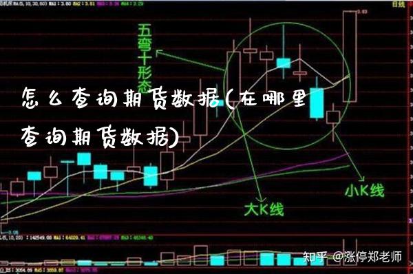 怎么查询期货数据(在哪里查询期货数据)_https://www.xmqjcw.com_期货百科_第1张