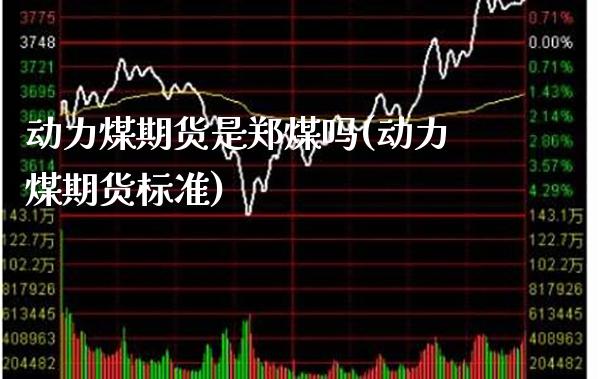 动力煤期货是郑煤吗(动力煤期货标准)_https://www.xmqjcw.com_期货百科_第1张