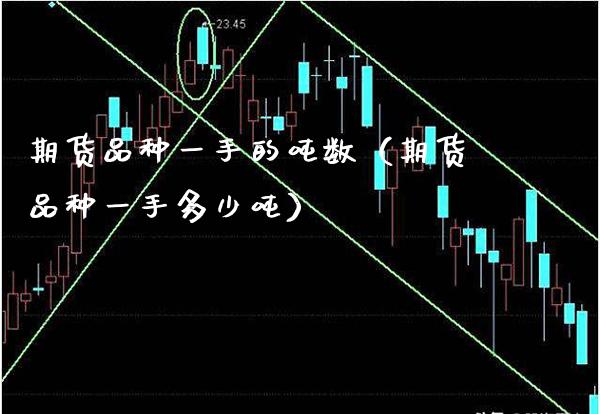 期货品种一手的吨数（期货品种一手多少吨）_https://www.xmqjcw.com_期货投资_第1张