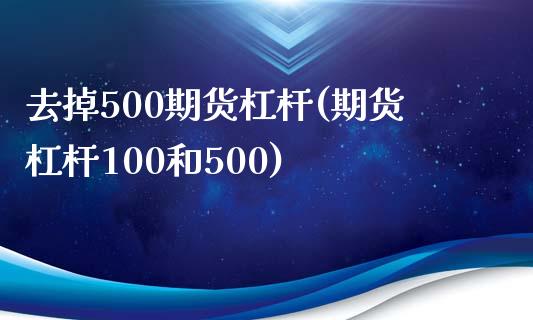 去掉500期货杠杆(期货杠杆100和500)_https://www.xmqjcw.com_期货百科_第1张