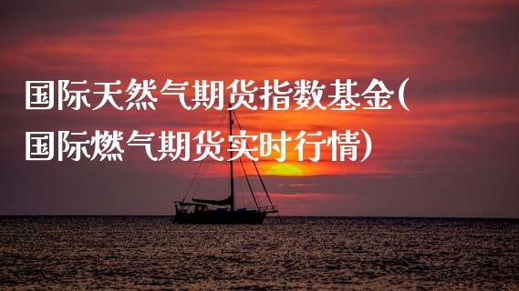 国际天然气期货指数基金(国际燃气期货实时行情)_https://www.xmqjcw.com_期货百科_第1张
