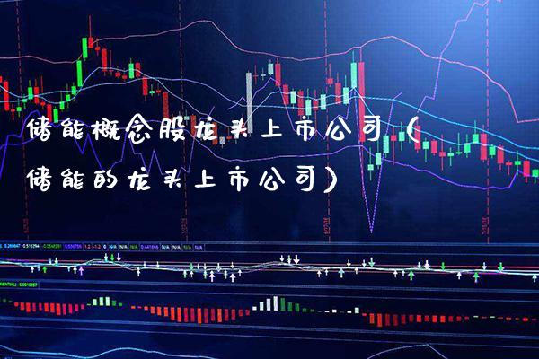 储能概念股龙头上市公司（储能的龙头上市公司）_https://www.xmqjcw.com_股票投资_第1张