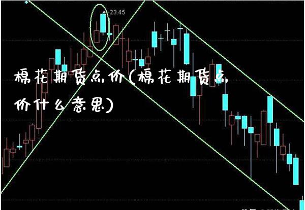 棉花期货点价(棉花期货点价什么意思)_https://www.xmqjcw.com_期货开户_第1张