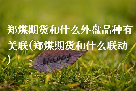 郑煤期货和什么外盘品种有关联(郑煤期货和什么联动)_https://www.xmqjcw.com_期货百科_第1张
