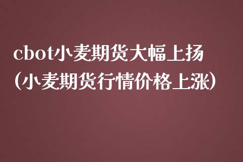 cbot小麦期货大幅上扬(小麦期货行情价格上涨)_https://www.xmqjcw.com_期货百科_第1张