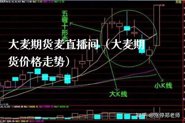 大麦期货麦直播间（大麦期货价格走势）_https://www.xmqjcw.com_期货投资_第1张