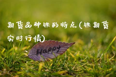期货品种铁的特点(铁期货实时行情)_https://www.xmqjcw.com_基金理财_第1张