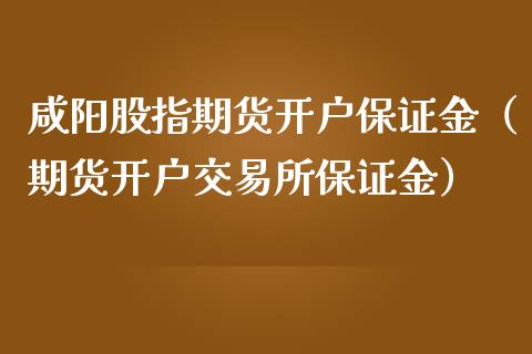 咸阳股指期货开户保证金（期货开户交易所保证金）_https://www.xmqjcw.com_期货开户_第1张