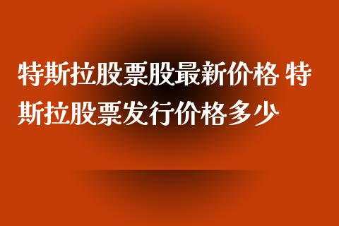 特斯拉股票股最新价格 特斯拉股票发行价格多少_https://www.xmqjcw.com_股票投资_第1张