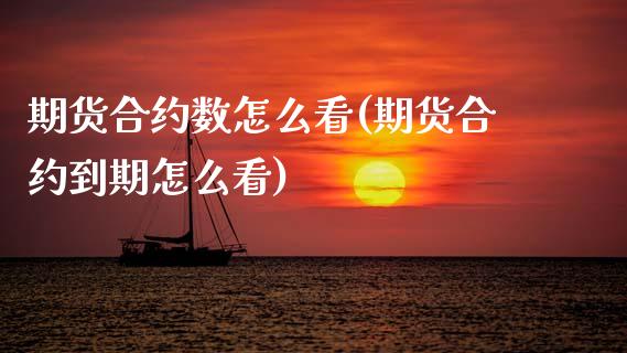 期货合约数怎么看(期货合约到期怎么看)_https://www.xmqjcw.com_期货百科_第1张