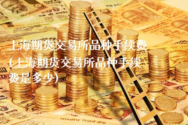 上海期货交易所品种手续费(上海期货交易所品种手续费是多少)_https://www.xmqjcw.com_期货投资_第1张