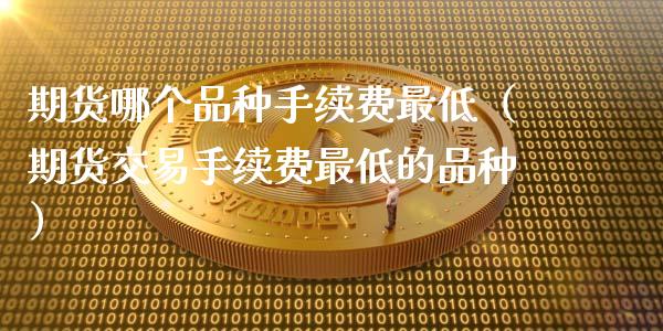 期货哪个品种手续费最低（期货交易手续费最低的品种）_https://www.xmqjcw.com_期货行情_第1张