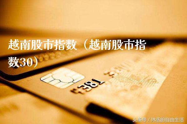越南股市指数（越南股市指数30）_https://www.xmqjcw.com_期货直播室_第1张