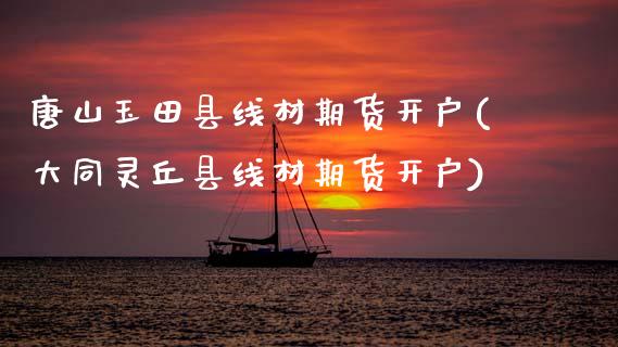 唐山玉田县线材期货开户(大同灵丘县线材期货开户)_https://www.xmqjcw.com_期货投资_第1张