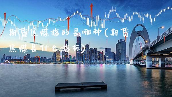 期货焦煤指的是哪种(期货焦煤是什么指标)_https://www.xmqjcw.com_期货百科_第1张