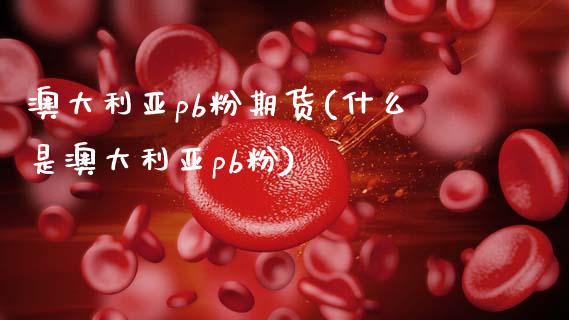 澳大利亚pb粉期货(什么是澳大利亚pb粉)_https://www.xmqjcw.com_期货直播室_第1张