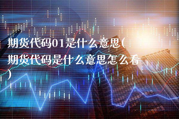 期货代码01是什么意思(期货代码是什么意思怎么看)_https://www.xmqjcw.com_期货百科_第1张