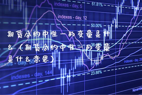 期货合约中唯一的变量是什么（期货合约中唯一的变量是什么意思）_https://www.xmqjcw.com_期货投资_第1张