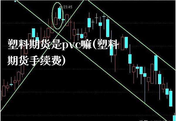 塑料期货是pvc嘛(塑料期货手续费)_https://www.xmqjcw.com_股票投资_第1张