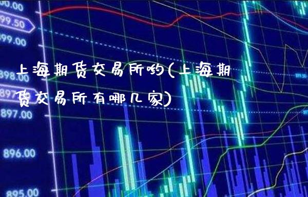 上海期货交易所哟(上海期货交易所有哪几家)_https://www.xmqjcw.com_期货百科_第1张