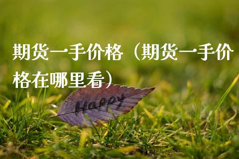 期货一手价格（期货一手价格在哪里看）_https://www.xmqjcw.com_期货投资_第1张