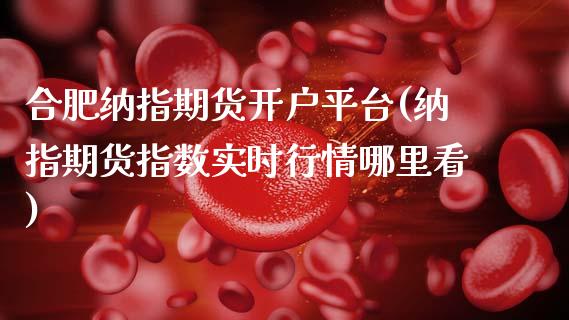 合肥纳指期货开户平台(纳指期货指数实时行情哪里看)_https://www.xmqjcw.com_期货投资_第1张
