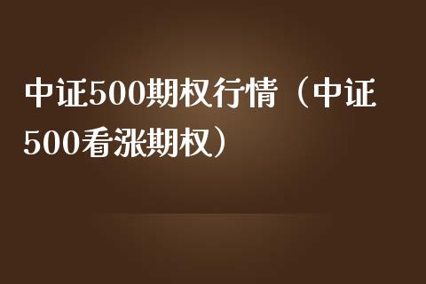 中证500期权行情（中证500看涨期权）_https://www.xmqjcw.com_期货行情_第1张