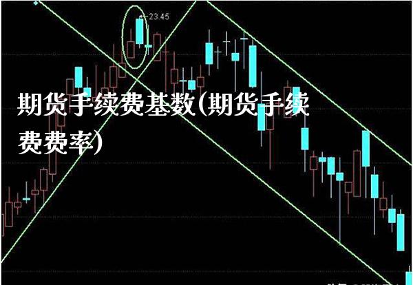 期货手续费基数(期货手续费费率)_https://www.xmqjcw.com_期货百科_第1张