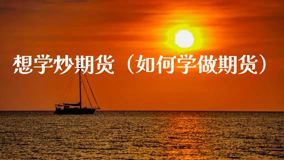 想学炒期货（如何学做期货）_https://www.xmqjcw.com_期货投资_第1张