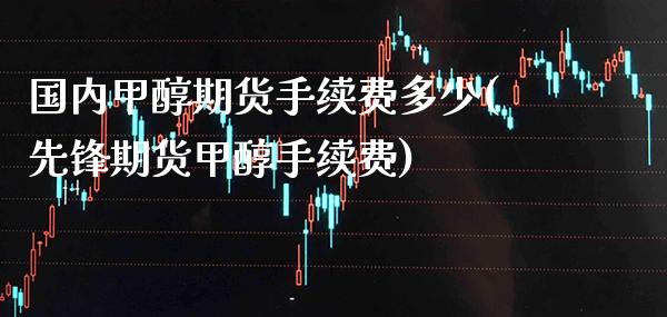 国内甲醇期货手续费多少(先锋期货甲醇手续费)_https://www.xmqjcw.com_期货行情_第1张