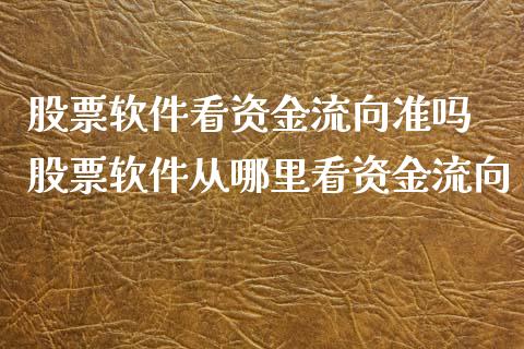 股票软件看资金流向准吗 股票软件从哪里看资金流向_https://www.xmqjcw.com_股票投资_第1张