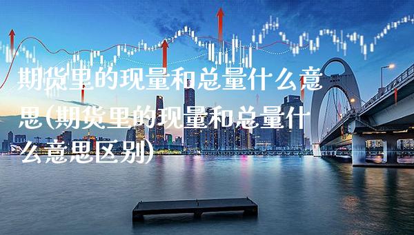 期货里的现量和总量什么意思(期货里的现量和总量什么意思区别)_https://www.xmqjcw.com_期货百科_第1张