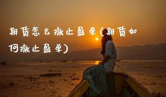 期货怎么撤止盈单(期货如何撤止盈单)_https://www.xmqjcw.com_基金理财_第1张