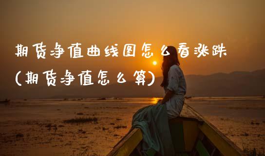 期货净值曲线图怎么看涨跌(期货净值怎么算)_https://www.xmqjcw.com_期货百科_第1张