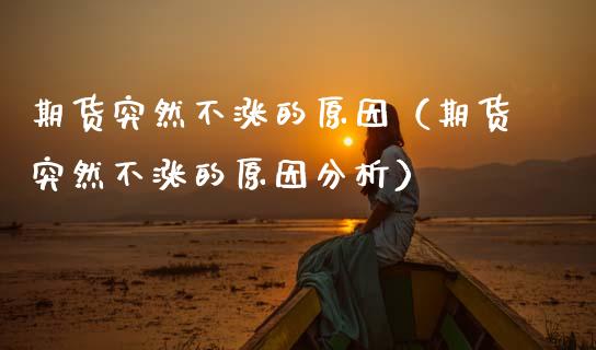 期货突然不涨的原因（期货突然不涨的原因分析）_https://www.xmqjcw.com_期货投资_第1张