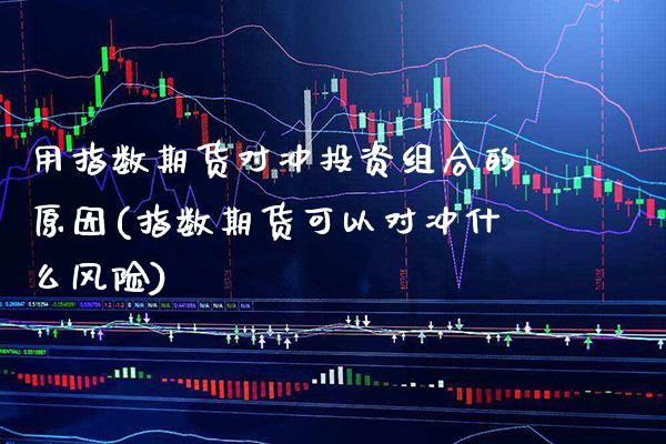 用指数期货对冲投资组合的原因(指数期货可以对冲什么风险)_https://www.xmqjcw.com_期货百科_第1张
