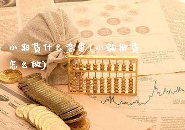 小期货什么意思(小额期货怎么做)_https://www.xmqjcw.com_期货百科_第1张