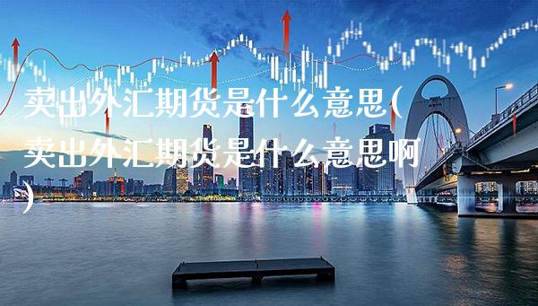 卖出外汇期货是什么意思(卖出外汇期货是什么意思啊)_https://www.xmqjcw.com_期货直播室_第1张