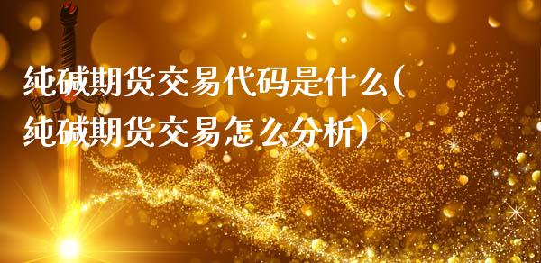 纯碱期货交易代码是什么(纯碱期货交易怎么分析)_https://www.xmqjcw.com_股票投资_第1张