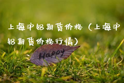 上海沪铝期货价格（上海沪铝期货价格行情）_https://www.xmqjcw.com_期货投资_第1张