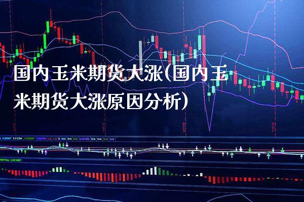 国内玉米期货大涨(国内玉米期货大涨原因分析)_https://www.xmqjcw.com_期货百科_第1张