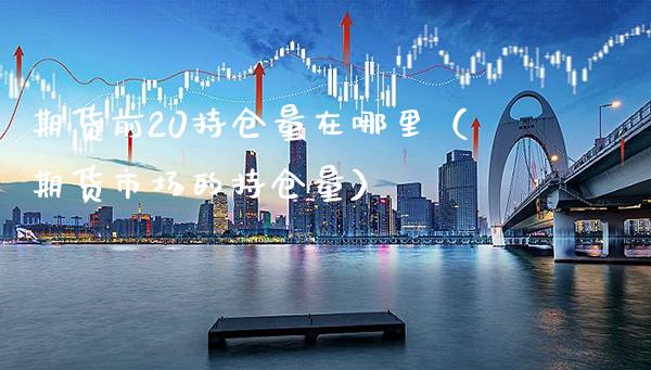 期货前20持仓量在哪里（期货市场的持仓量）_https://www.xmqjcw.com_期货直播室_第1张