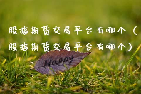 股指期货交易平台有哪个（股指期货交易平台有哪个）_https://www.xmqjcw.com_期货投资_第1张