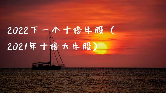 2022下一个十倍牛股（2021年十倍大牛股）_https://www.xmqjcw.com_期货直播室_第1张