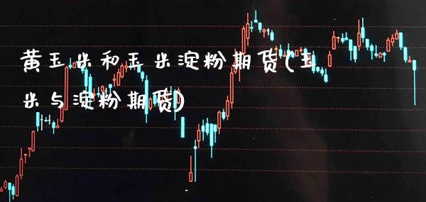 黄玉米和玉米淀粉期货(玉米与淀粉期货)_https://www.xmqjcw.com_期货百科_第1张